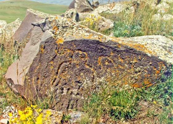 Sevsar Mountain - Petroglyph